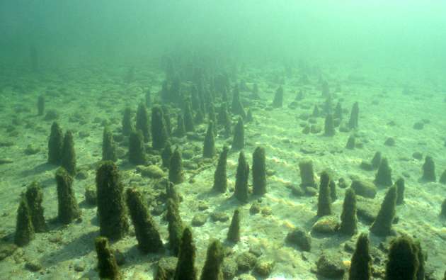 Pfahlbauten unter Wasser